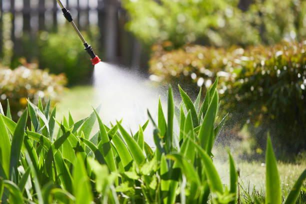 24/7 Emergency Wasp Removal experts in Bolindale, OH