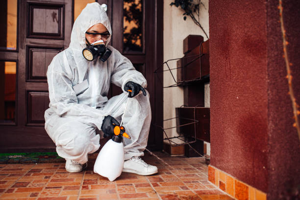 Reliable Wasp Removal contractor in Bolindale, OH by Show Me Pest Control